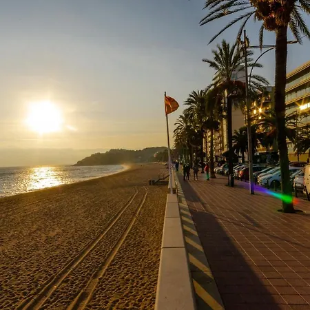 New Borodin Family Ab Apartment