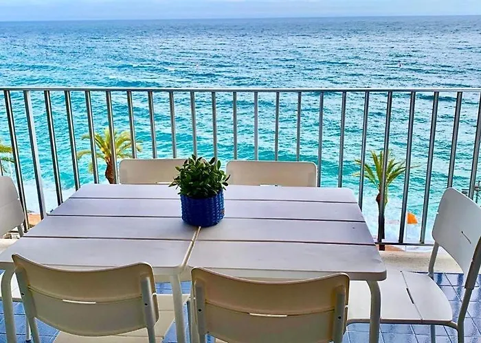 New Borodin Family Ab *