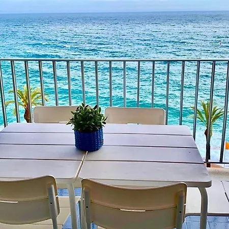 New Borodin Family Ab *