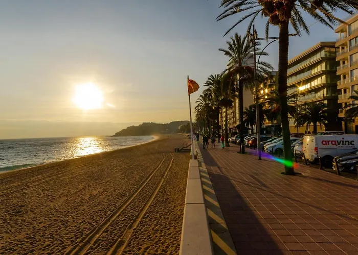 New Borodin Family Ab Appartement